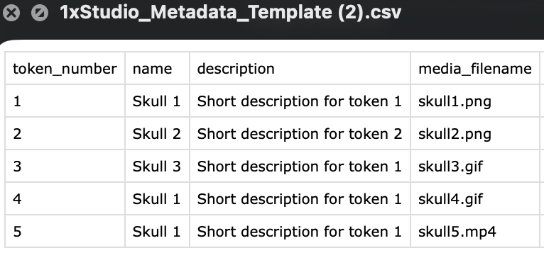 Metadata CSV showing matching media_filename values